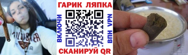 ГАШИШ Premium даркнет сайт Камышлов