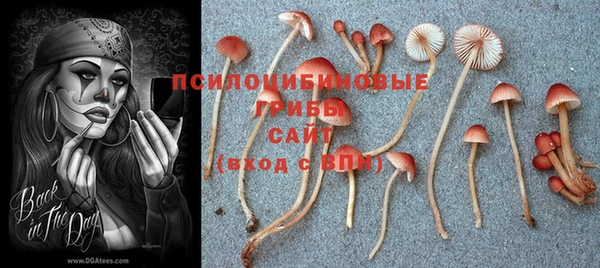 прущая мука Алзамай