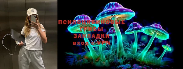 ПСИЛОЦИБИНОВЫЕ ГРИБЫ Абаза