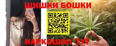 тгк Камышлов