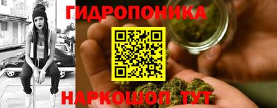 стафф Кандалакша