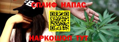 тгк Камышлов