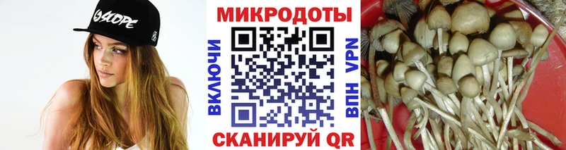 Галлюциногенные грибы ЛСД  магазин  наркотиков  Камышлов 