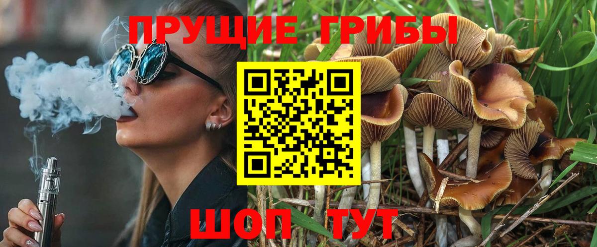 Псилоцибиновые грибы MAGIC MUSHROOMS Камышлов