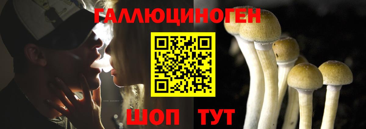 Галлюциногенные грибы ЛСД  Вход с VPN  Камышлов 